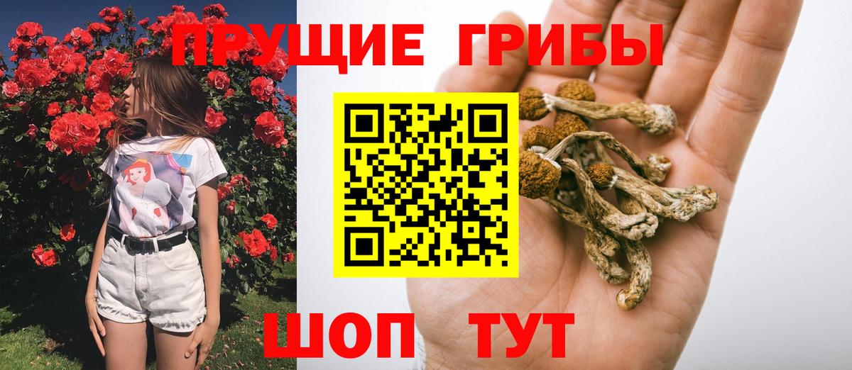 Галлюциногенные грибы Psilocybine cubensis  Вход с VPN  Долгопрудный 